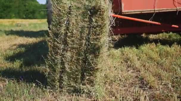 Dry grass or straw harvesting mechanism - Footage, Video