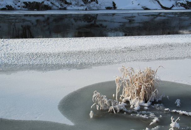 río parcialmente congelado y un tussock de hierba marina en invierno
 - Foto, Imagen