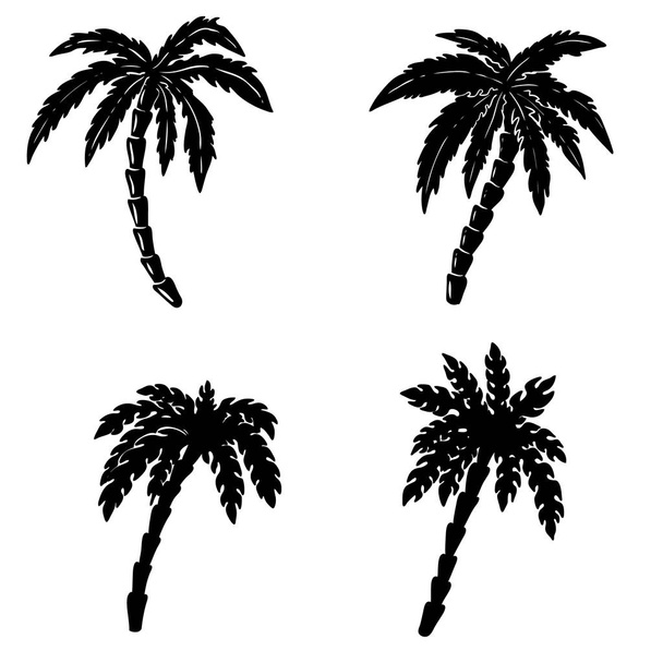 Set of hand drawn palm illustrations on white background. Design elements for poster, emblem, sign, badge. Vector image - Vector, Image