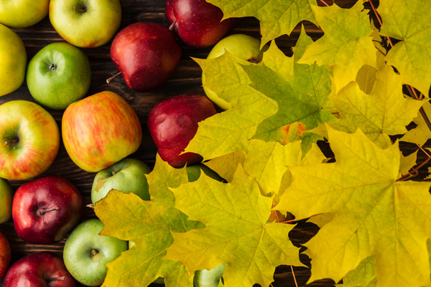 vista superior de manzanas maduras multicolores y hojas de arce amarillo sobre mesa de madera
  - Foto, Imagen