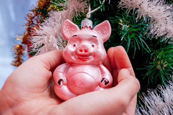 The girl holds a Christmas decoration in the form of a pig.  Christmas and New Year's holiday - Photo, Image
