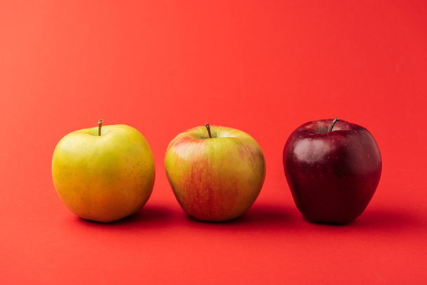 fila de tres manzanas maduras multicolores sobre fondo rojo
 - Foto, Imagen
