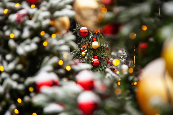 Joulupuut koristeltu värikkäillä palloilla todellisessa lumessa
 - Valokuva, kuva