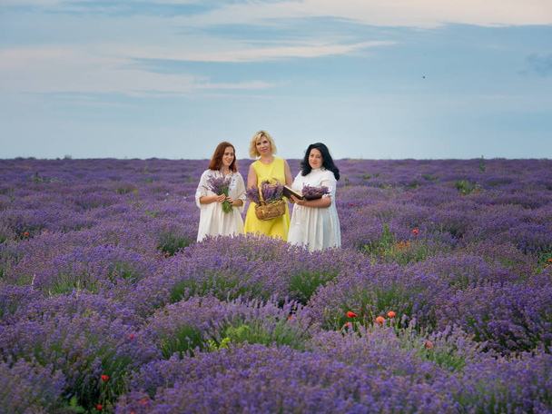 Tres chicas jóvenes con diferentes colores de pelo en vestidos blancos, posando juntas en un campo de lavanda
. - Foto, imagen