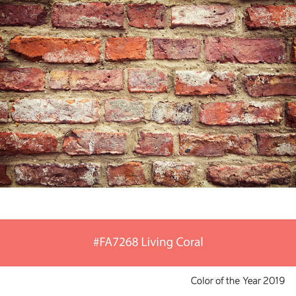 Un viejo muro de ladrillo como ejemplo del color tendencia del año 2019, Living Coral, con el correspondiente color hexagonal
.  - Foto, imagen