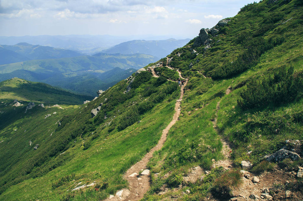 scenic view of fresh green landscape of Vuhatiy Kamin, Carpathians, Ukraine - Photo, Image