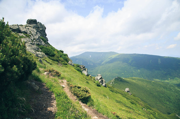 vista panorámica del paisaje verde fresco de Vuhatiy Kamin, Cárpatos, Ucrania
 - Foto, Imagen