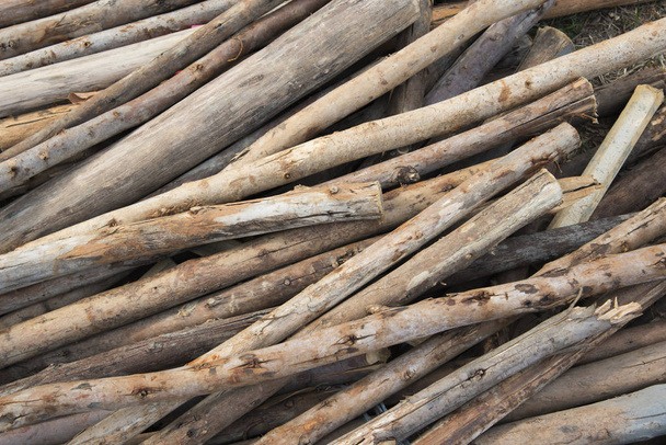 Pilha de madeira no fundo
 - Foto, Imagem