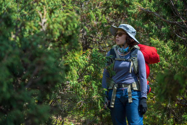 Lady backpacker or trekker with backpack lost in jungle in Nepal - Foto, imagen