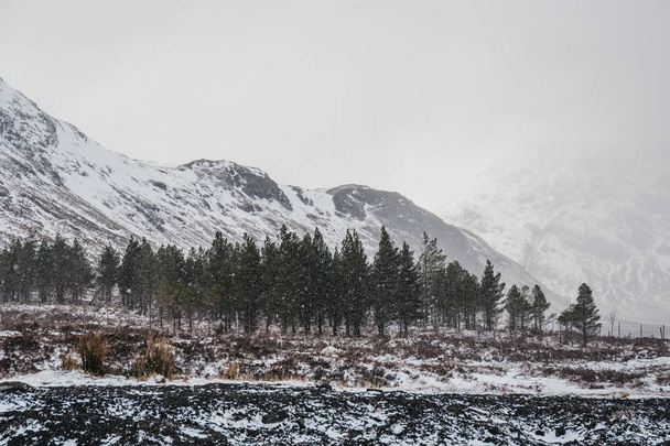 Montañas cubiertas de nieve y árboles en las tierras altas escocesas cerca de Glencoe, Escocia, en un día de niebla nevada primavera
. - Foto, imagen