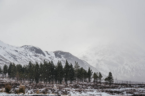 雪を頂いた山、スコットランドのハイランド地方の木付近、グレンコー、スコットランドの霧雪に覆われた春の日に. - 写真・画像
