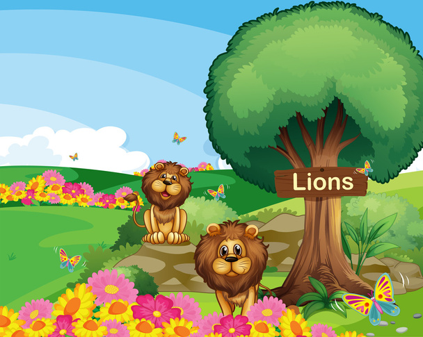 Two lions in the garden with a wooden signboard - Vector, Image