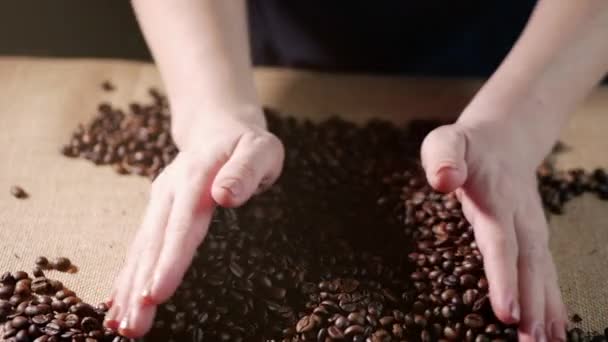 Coffee beans. Hands scattered coffee beans. Womens hands touch coffee beans. Quality of grain roasted in coffee fly. 4k. - Footage, Video