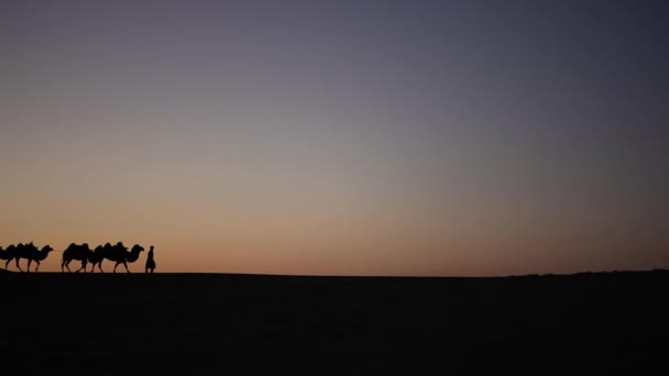 Cammello Caravan Silhouette al tramonto nel mezzo del deserto
  - Filmati, video