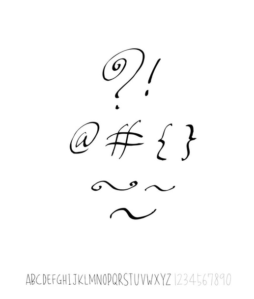 Vector fonts / Handwritten calligraphy - Vektor, Bild