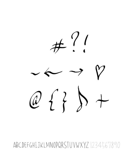 Vector fonts / Handwritten calligraphy - Vektor, Bild