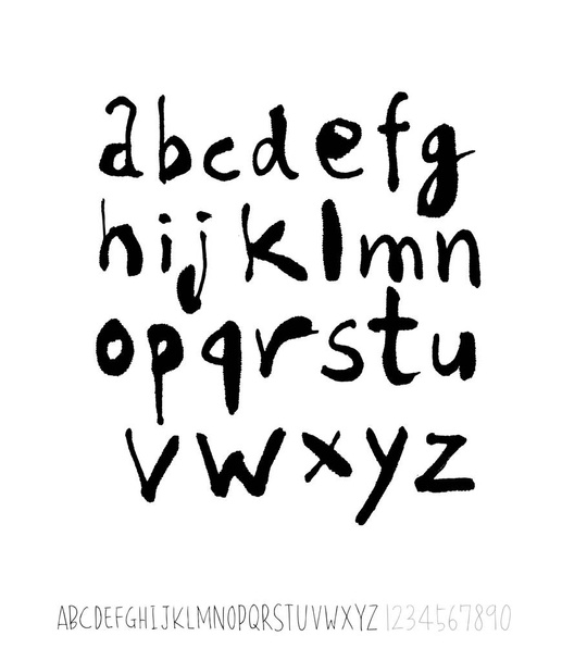Vector fonts / Handwritten calligraphy  - Вектор,изображение