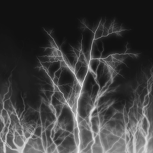 Karanlıkta parlayan ağaçların korku arka plan - Fotoğraf, Görsel