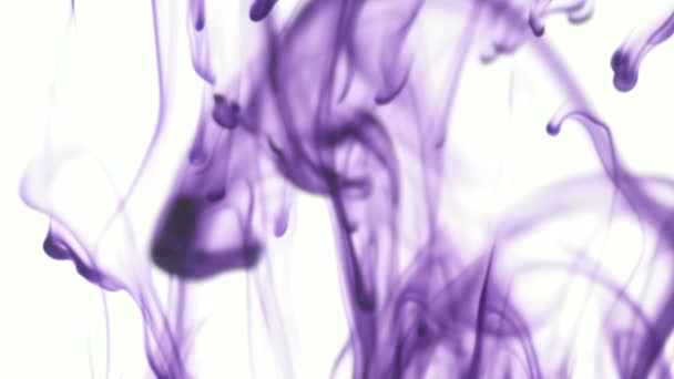 lila oder violette Lebensmittelfarbe Tropfen in Wasser auf weißem Hintergrund. abstrakte Lebensmittelfarbe Farbtropfen im Wasserhintergrund für Filmdesign. 3840x2160 4k hochauflösendes Filmmaterial - Filmmaterial, Video