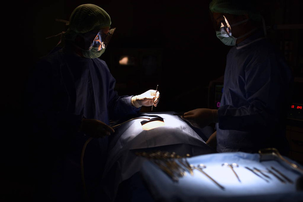 Surgical light in the operating room. Preparation for the beginning of surgical operation with a cut. Team surgeon at work in operating technology in a modern hospital operating room. - Photo, image