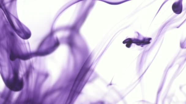 Фиолетовый или фиолетовый цвет пищи капли чернил в воде на белом фоне. Абстрактные цветные чернила на водном фоне для оформления кадра. Запись высокого разрешения 3840x2160 4K
 - Кадры, видео