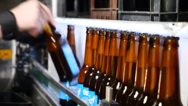 Automatische bier bottelen lijn. Wachtrij voor klaar gevulde flessen op de lopende. werknemer hand neemt flessen uit de vervoeren lijn. - Video