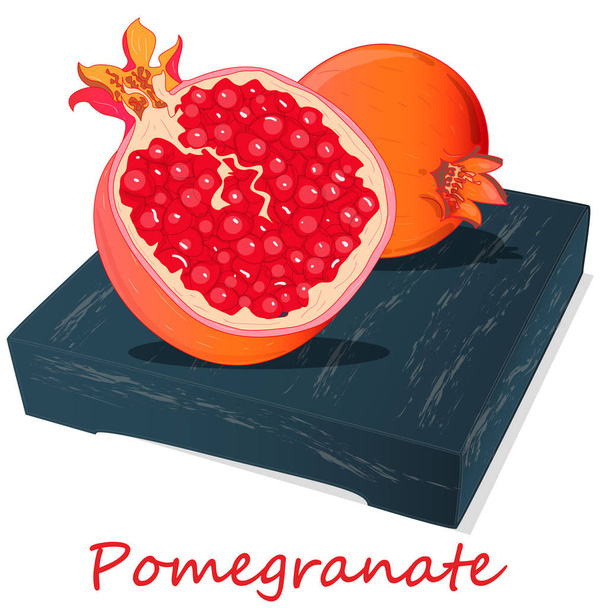 Pomegranate hand drown vector illustration isolated on white background. - Vector, Image