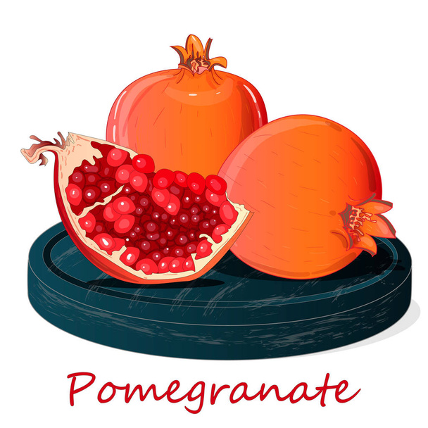 Pomegranate hand drown vector illustration isolated on white background. - Vector, imagen