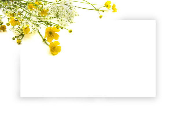 Buquê de flores silvestres de verão isolado no fundo branco, mockup cartão de saudação
. - Foto, Imagem