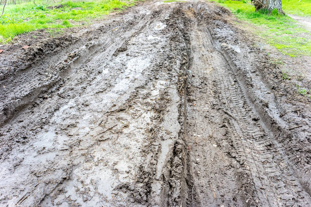 Muddy, strada bagnata con tracce di pneumatici
. - Foto, immagini
