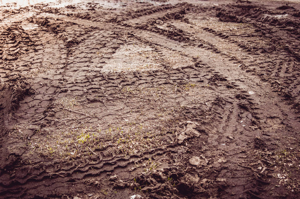 Huellas de neumáticos en un camino fangoso
. - Foto, Imagen