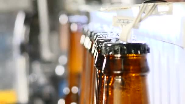Brouwerij concept. Bier fabriek. Automatische bier bottelen lijn. Close-up shot van wachtrij van klaar gevulde flessen op de lopende. 4k - Video