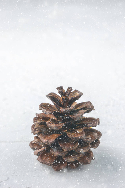 Vertical shot of pine cone like Christmas tree in snow - Фото, изображение