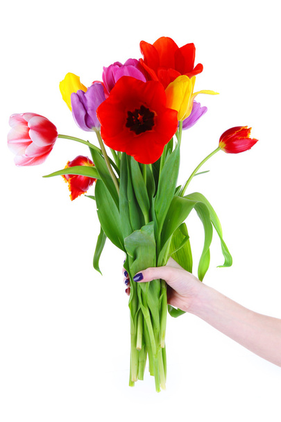 Beautiful tulips in hand isolated on white - Φωτογραφία, εικόνα