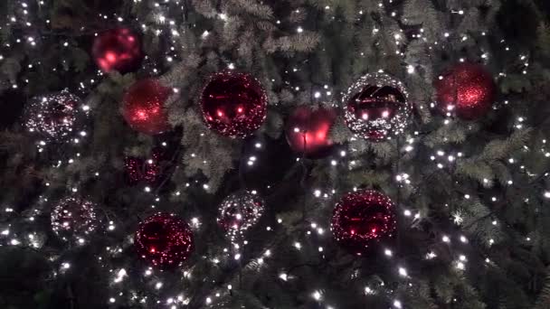 Cierre un árbol de Navidad luces que brillan en el fondo de la noche. Árbol de Año Nuevo con decoraciones e iluminación. Árbol de Navidad decoraciones fondo
 - Imágenes, Vídeo