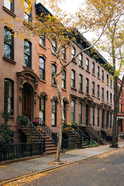 Brownstones and fall color in Brooklyn Heights, New York City - Φωτογραφία, εικόνα