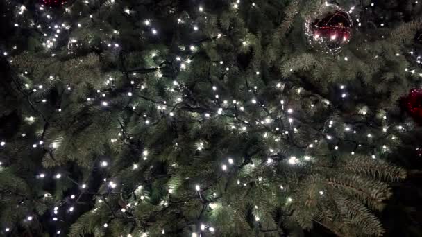Cierre un árbol de Navidad luces que brillan en el fondo de la noche. Árbol de Año Nuevo con decoraciones e iluminación. Árbol de Navidad decoraciones fondo
 - Imágenes, Vídeo