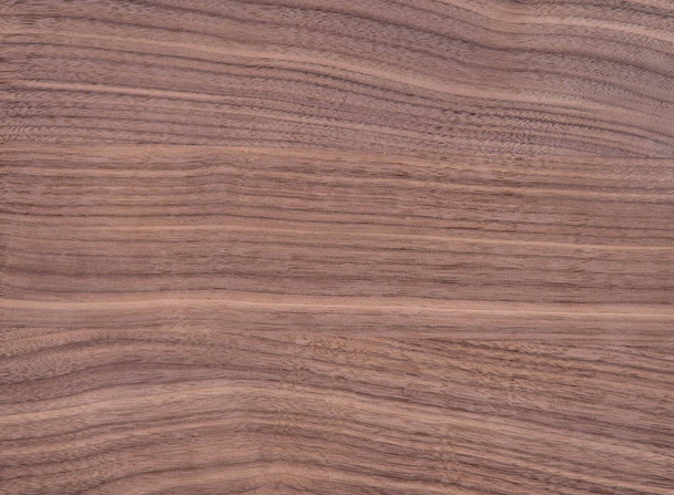 Wood texture of natural american black walnut radial cut  - Photo, Image