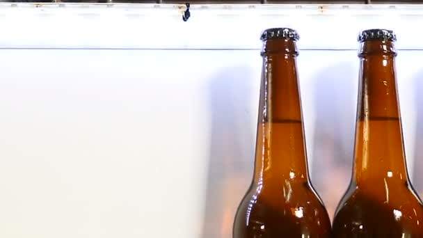 Beer factory. Final part of technological part of beer producing. conveyor in brewery, Queue of ready filled bottles on the conveyer. 4k - Séquence, vidéo