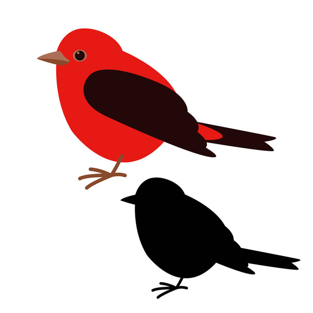 cardinal bird , vector illustration , flat style, black silhouette - Vektor, Bild