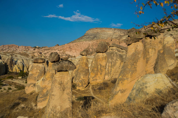 Popular rock form mushrooms. Beautiful landscape with unusual mountains. Fairy Chimneys, Pasabag, Monks Valley, Cappadocia, Anatolia, Turkey - Φωτογραφία, εικόνα
