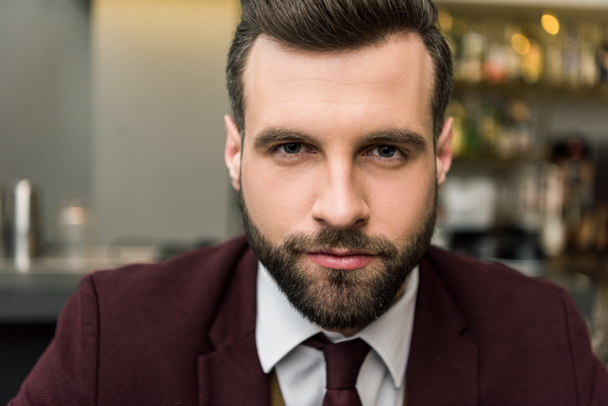 portrait of handsome focused businessman in formal wear looking at camera - Foto, immagini