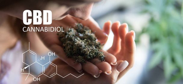 Chemische Formeln von Elementen thc cbd in Marihuana medizinischen Stämmen  - Foto, Bild