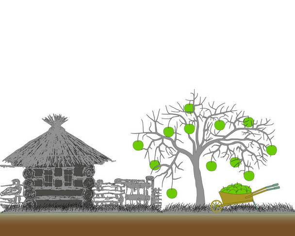 Wheelbarrow on the background of a country house. Apple harvest. Apple tree with wheelbarrow. Vector illustration. Eps10 - Vector, Image
