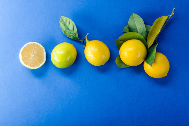 Lemon in on a blue background, citrus, vitamin C - Photo, Image