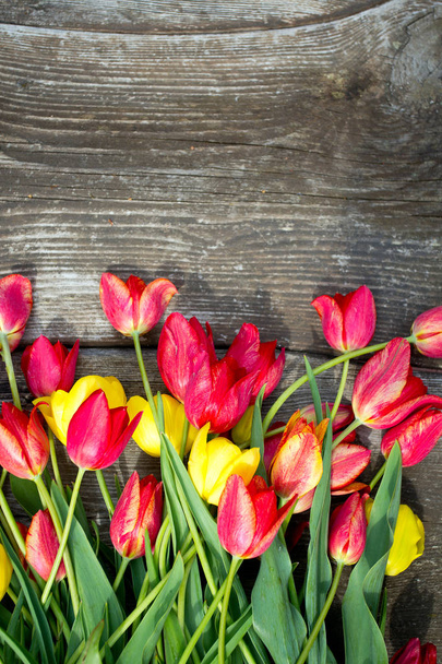 colorful tulips on wooden surface - Foto, immagini