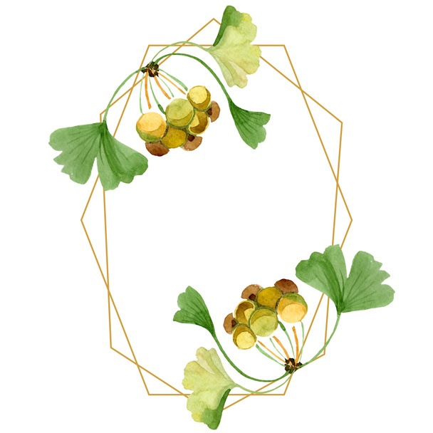 Beautiful green ginkgo biloba with leaves isolated on white. Watercolor background illustration. Watercolour drawing fashion aquarelle isolated on white. Frame border ornament. - 写真・画像