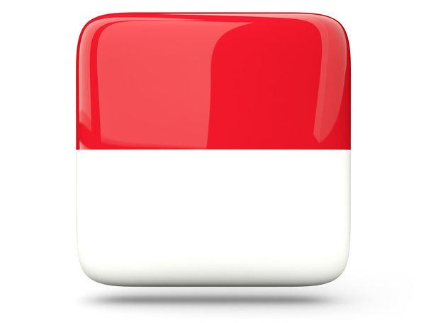 Square icon of indonesia - Фото, зображення