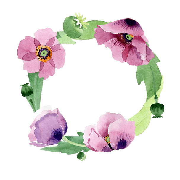 Beautiful burgundy poppy flowers isolated on white. Watercolor background illustration. Watercolour drawing fashion aquarelle isolated poppies. Frame border ornament. - 写真・画像