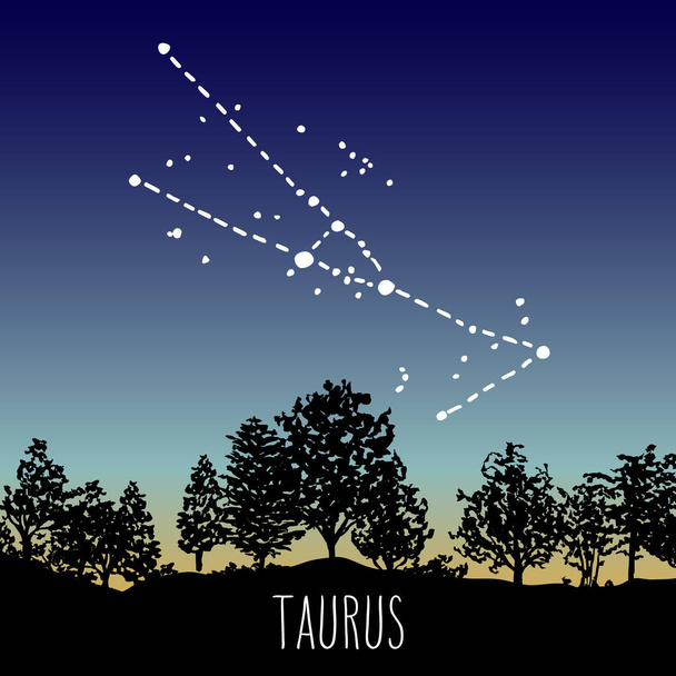 Taurus - hand drawn Zodiac sign constellation in a twilight sky over the deciduous forest. Vector graphics astrology illustration. Western horoscope mystic symbol in nature. - Vektor, obrázek